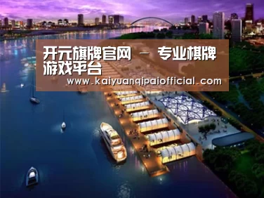 案例展示八