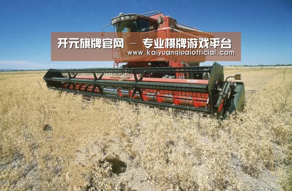 产品名称三