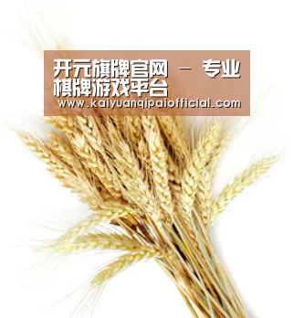 开元旗牌官网 - 专业棋牌游戏平台