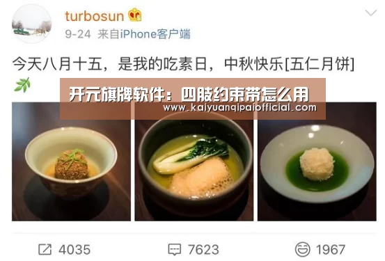 开元旗牌软件：四肢约束带怎么用